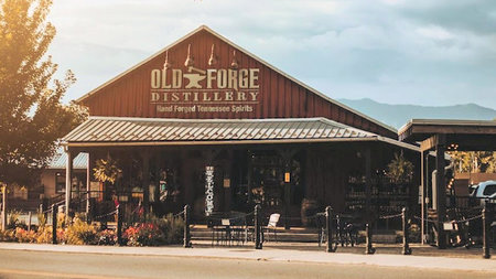 Exploring the Best Wineries and Distilleries in Pigeon Forge