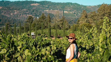 Savoring Spring: The Ultimate Luxury Experiences in Napa Valley